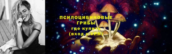 меф Алексин
