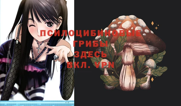 меф Алексин